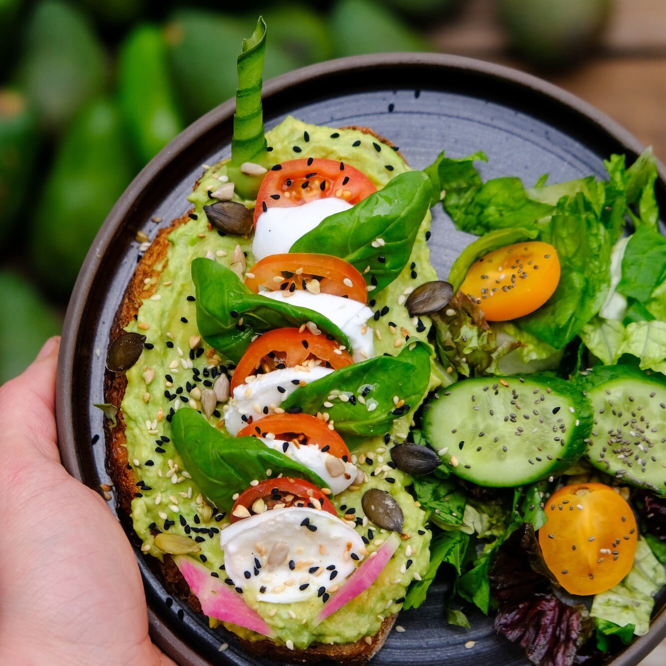 Avokado Mozzarella di Bufala Açık Toast